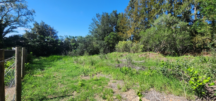 0 Bedroom Property for Sale in Swellendam Western Cape